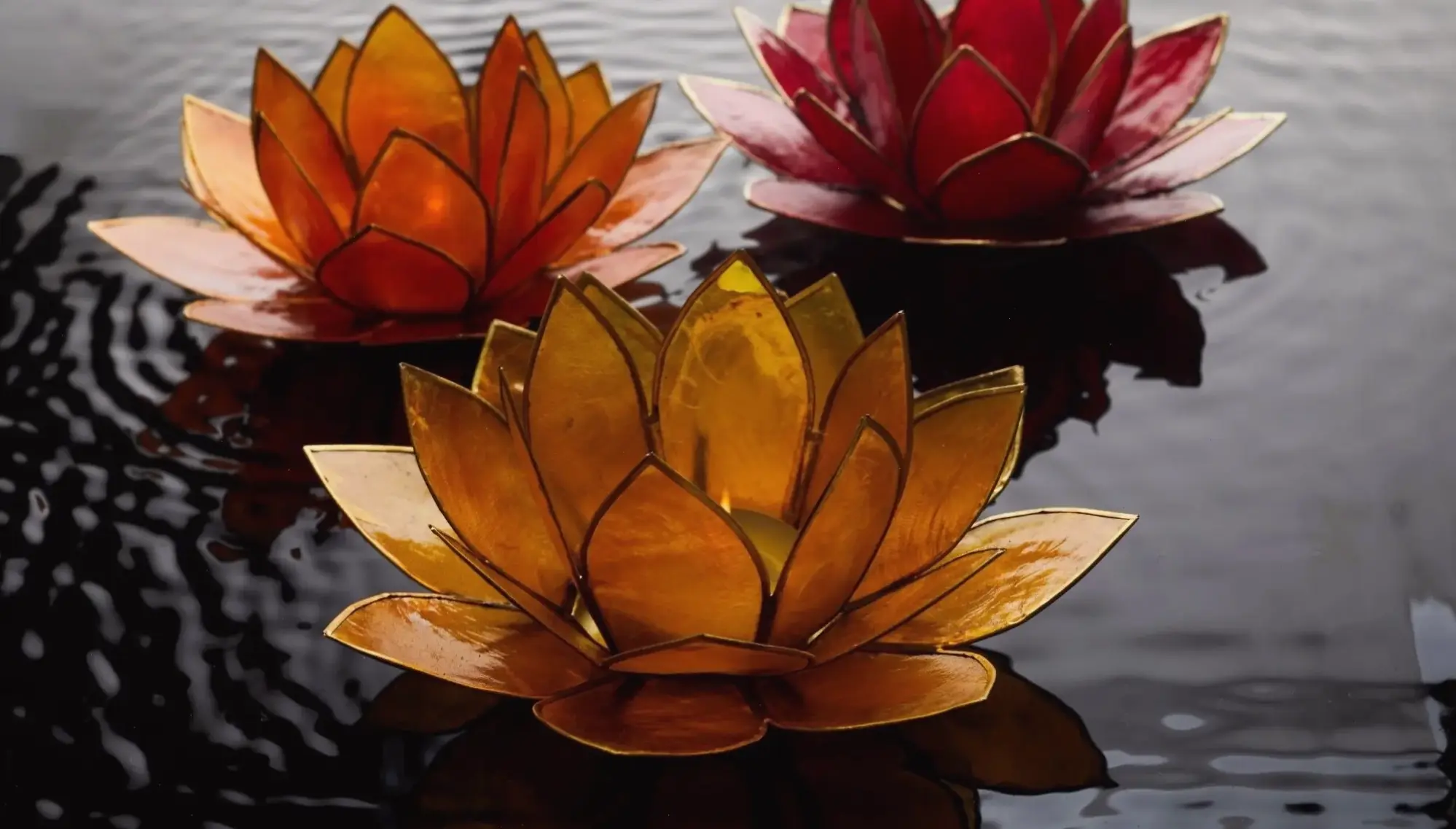 Hoa sen dâng lên trong lễ Phật Đản, tượng trưng cho sự giác ngộ và lòng từ bi sâu sắc.