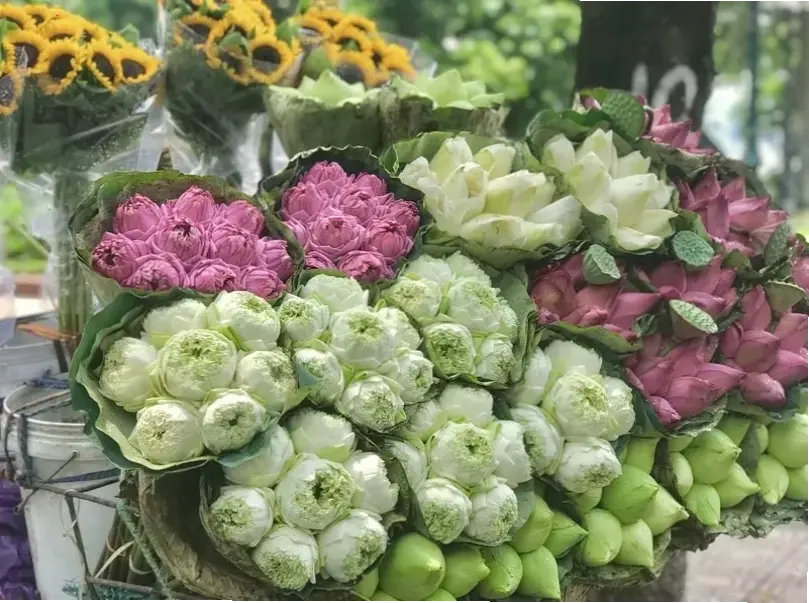 Hoa sen thời Lý trong nghệ thuật kiến trúc, phản ánh tinh thần Phật giáo và văn hóa cổ xưa.