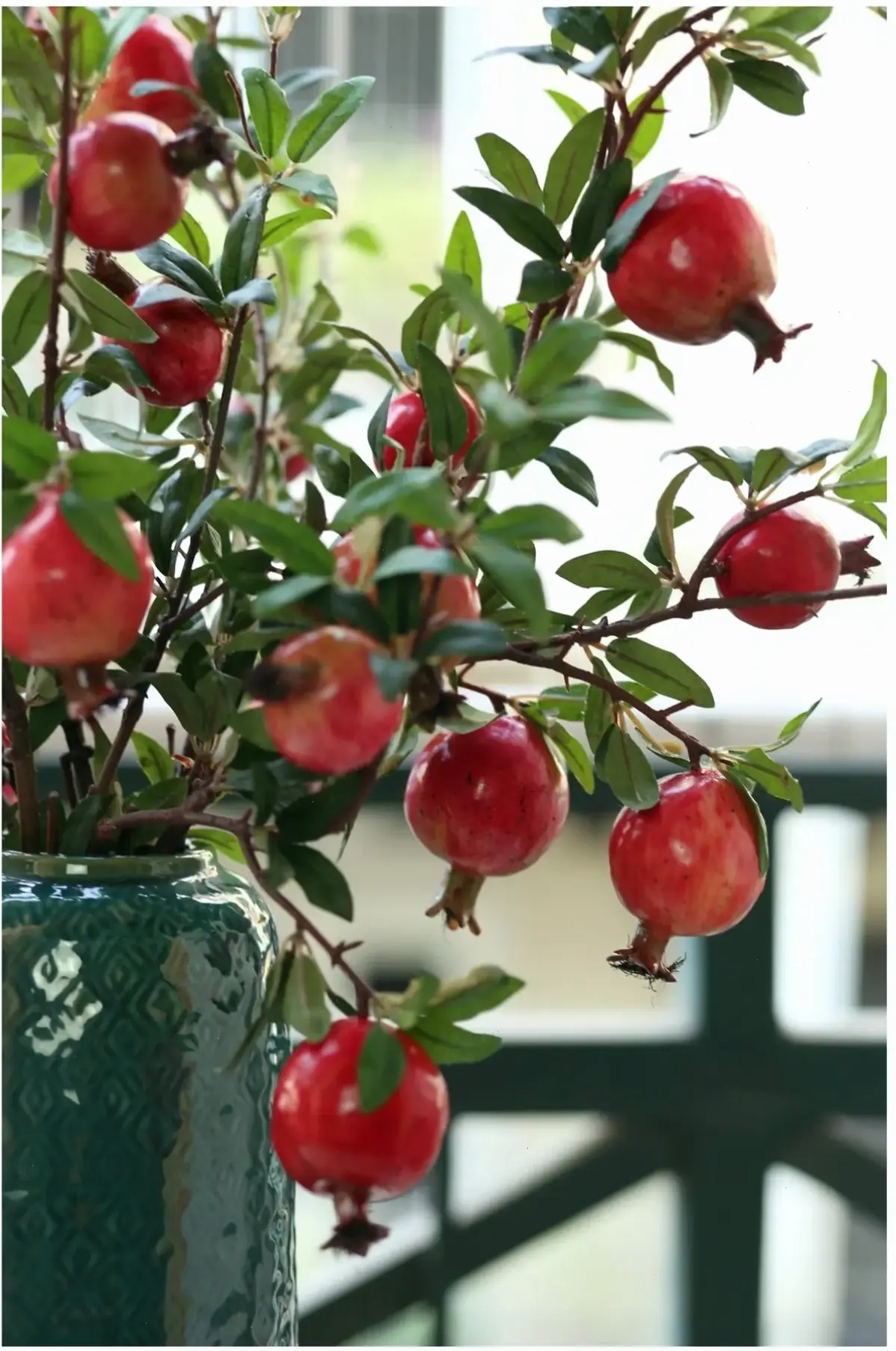 Hoa thạch lựu cắm bình tạo nên bình hoa thanh lịch, hoàn hảo để decor bàn ăn hoặc góc phòng với vẻ đẹp tự nhiên.