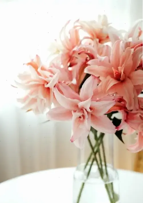 Hoa tulip cắm bình, ảnh macro đẹp mắt, ý tưởng trang trí nhà cửa tuyệt vời và tinh tế.