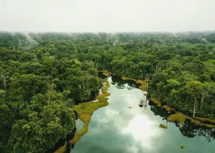 Hoàng hôn lãng mạn tại rừng Amazon, với sắc màu rực rỡ kết thúc một ngày phiêu lưu tuyệt vời.