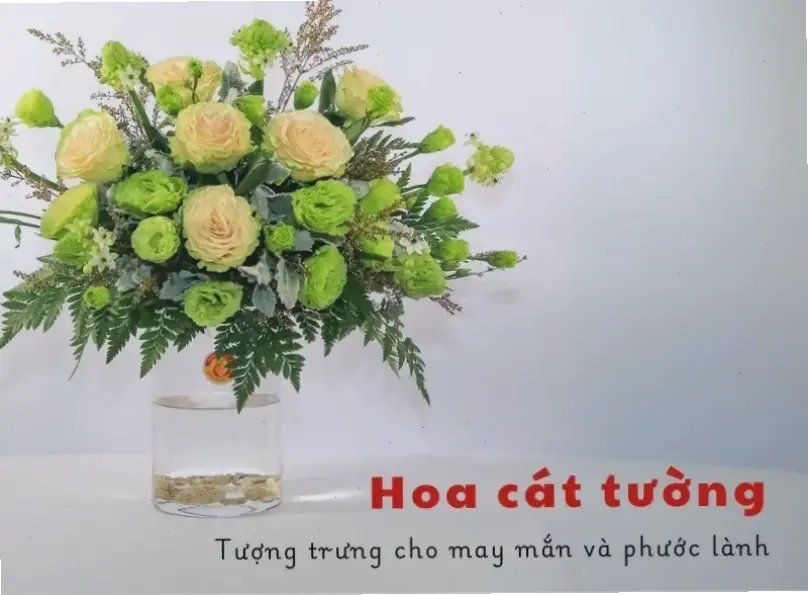 Học cách cắm hoa cát tường đẹp để trang trí ấn tượng, mang lại không khí ấm áp và tươi vui.