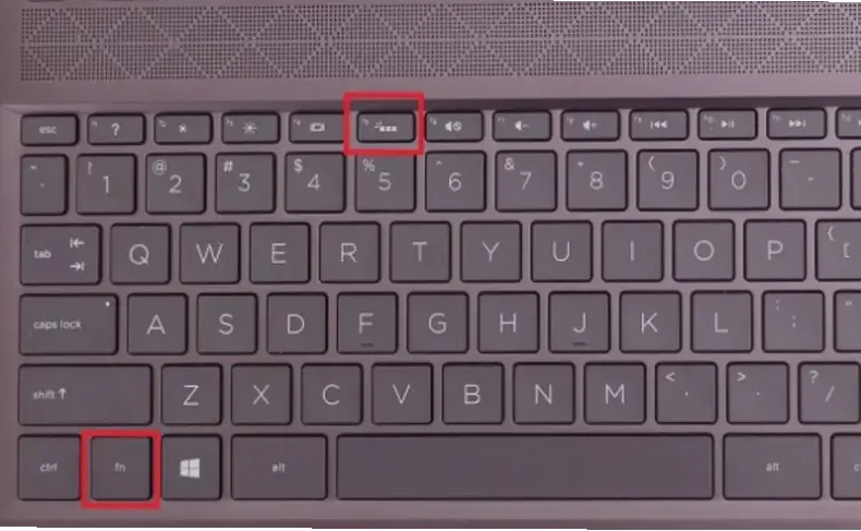 Hướng Dẫn Chi Tiết