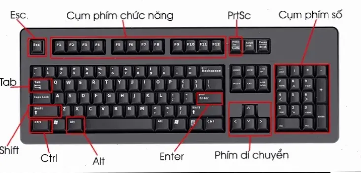 Hướng Dẫn Cơ Bản Cho Người Mới Bắt Đầu
