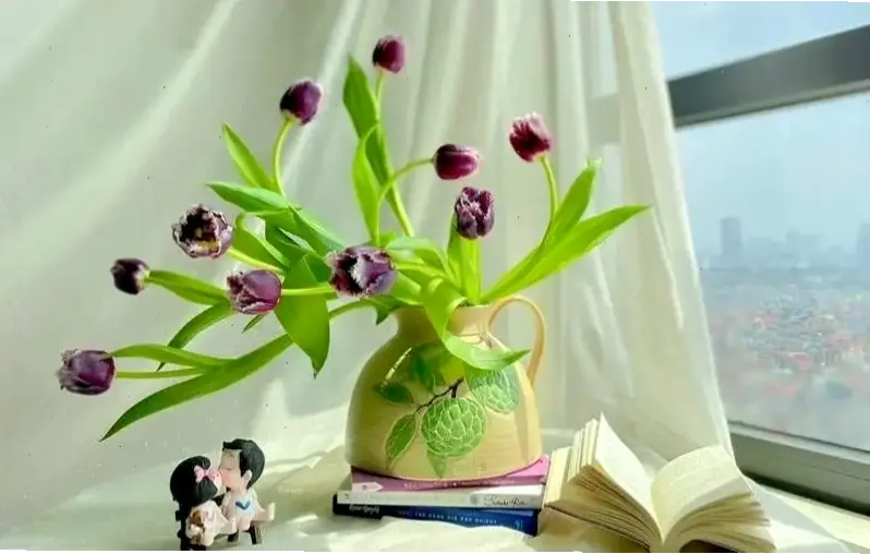 Hương vị Hà Lan qua hoa tulip cắm bình, sắc màu tươi mới và đầy sức sống.