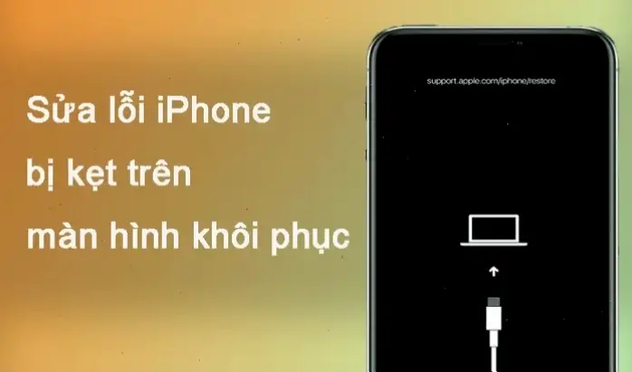 Kết Luận Và Lời Khuyên Cuối Cùng