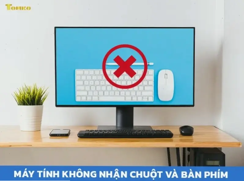 Kết Luận Và Lời Khuyên Cuối Cùng