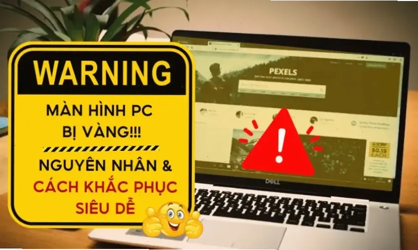 Kết Luận Và Lời Khuyên Từ Chuyên Gia