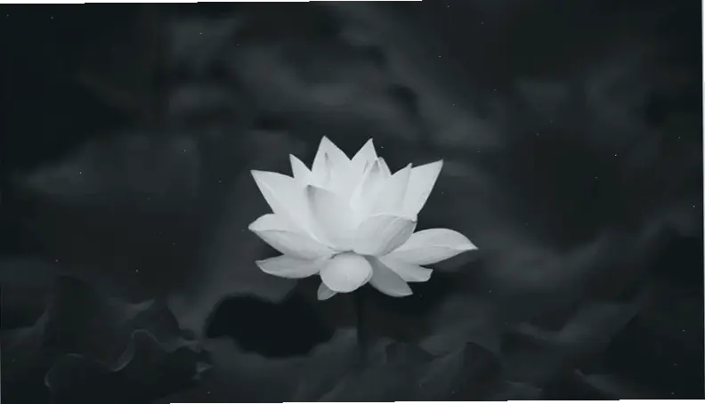 Khám phá hình nền đen trắng buồn, mang đến cảm xúc sâu lắng và sự cô đơn tinh tế cho màn hình của bạn.