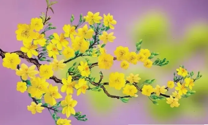Khám phá ngay bộ sưu tập hình nền hoa mai đẹp, mang vẻ rực rỡ và tinh khôi của mùa xuân đến màn hình thiết bị của bạn, giúp không gian trở nên tươi mới và đầy sức sống!