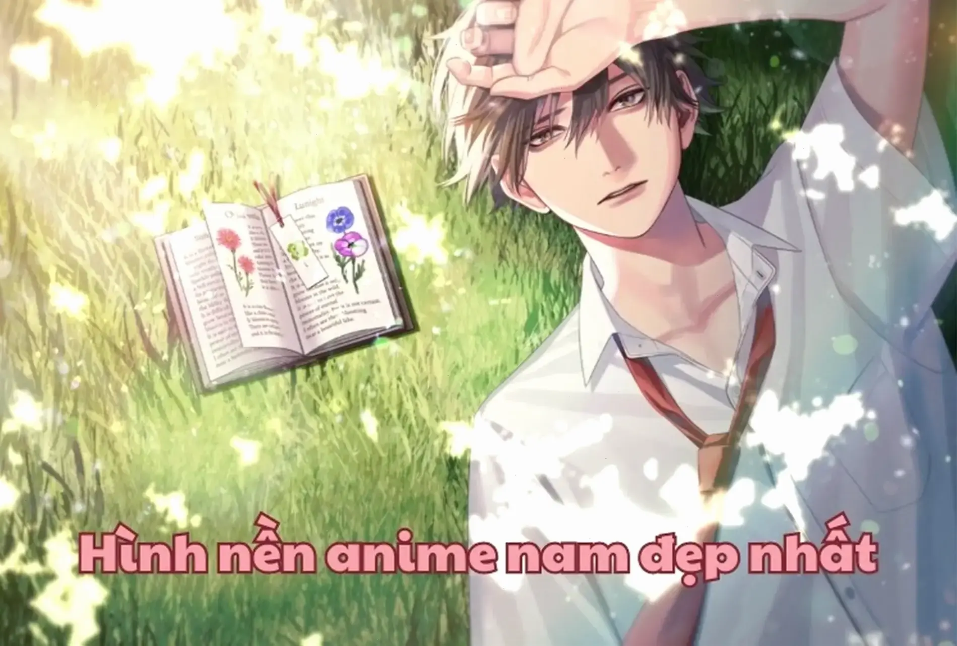 Khám phá ngay bộ sưu tập hình nền máy tính anime ngầu, mang đến sức mạnh và phong cách đỉnh cao cho desktop của bạn, khiến mọi không gian làm việc trở nên ấn tượng và đầy năng lượng!