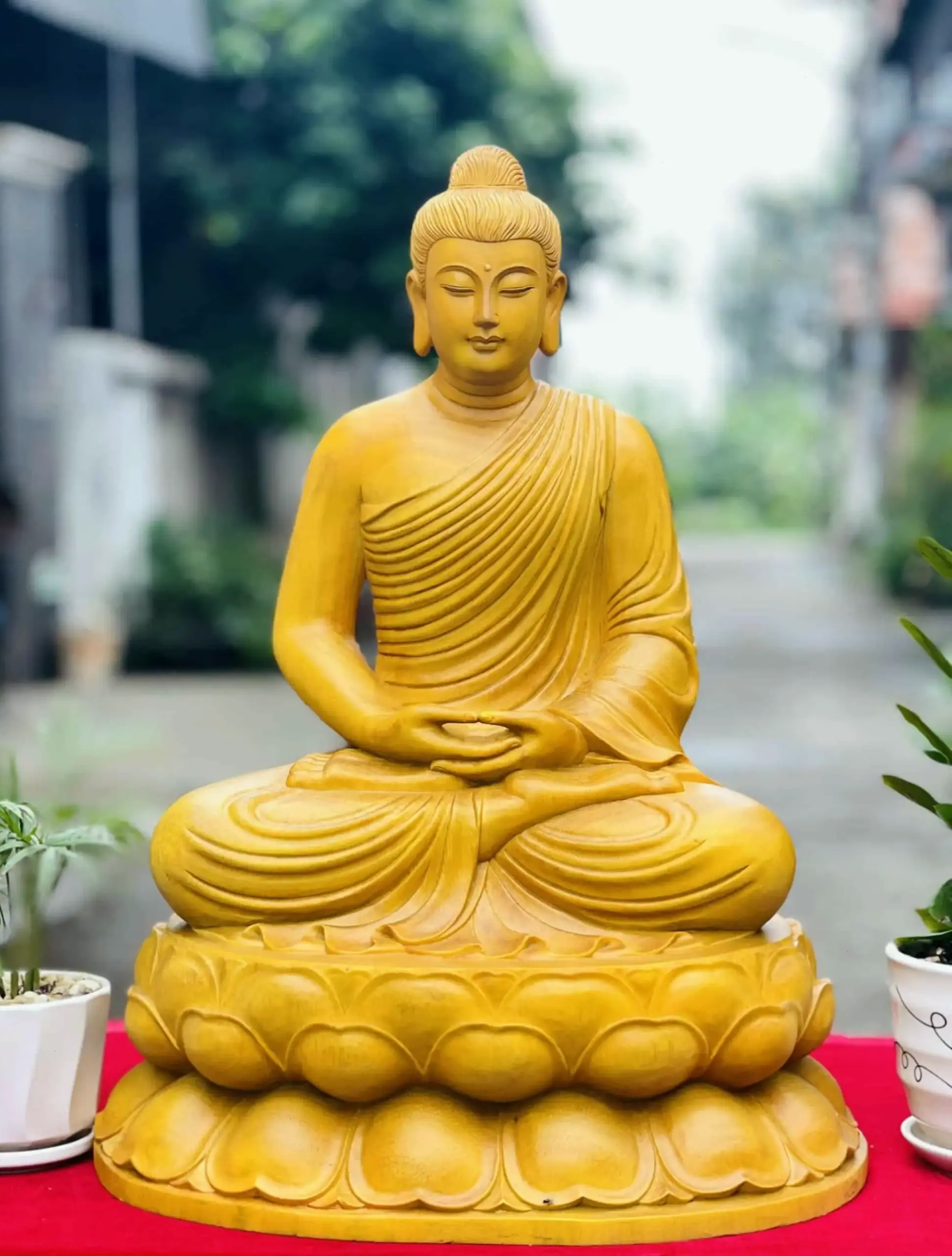 Khám phá Phật Thích Ca ánh vàng 4K sống động, mang đến sự thanh tịnh và chi tiết rực rỡ, giúp thiền định sâu hơn.