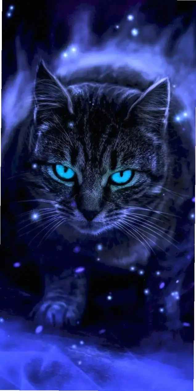 Khám phá thế giới mèo về đêm, với những khoảnh khắc bí ẩn và hấp dẫn, đầy sức hút kỳ diệu.