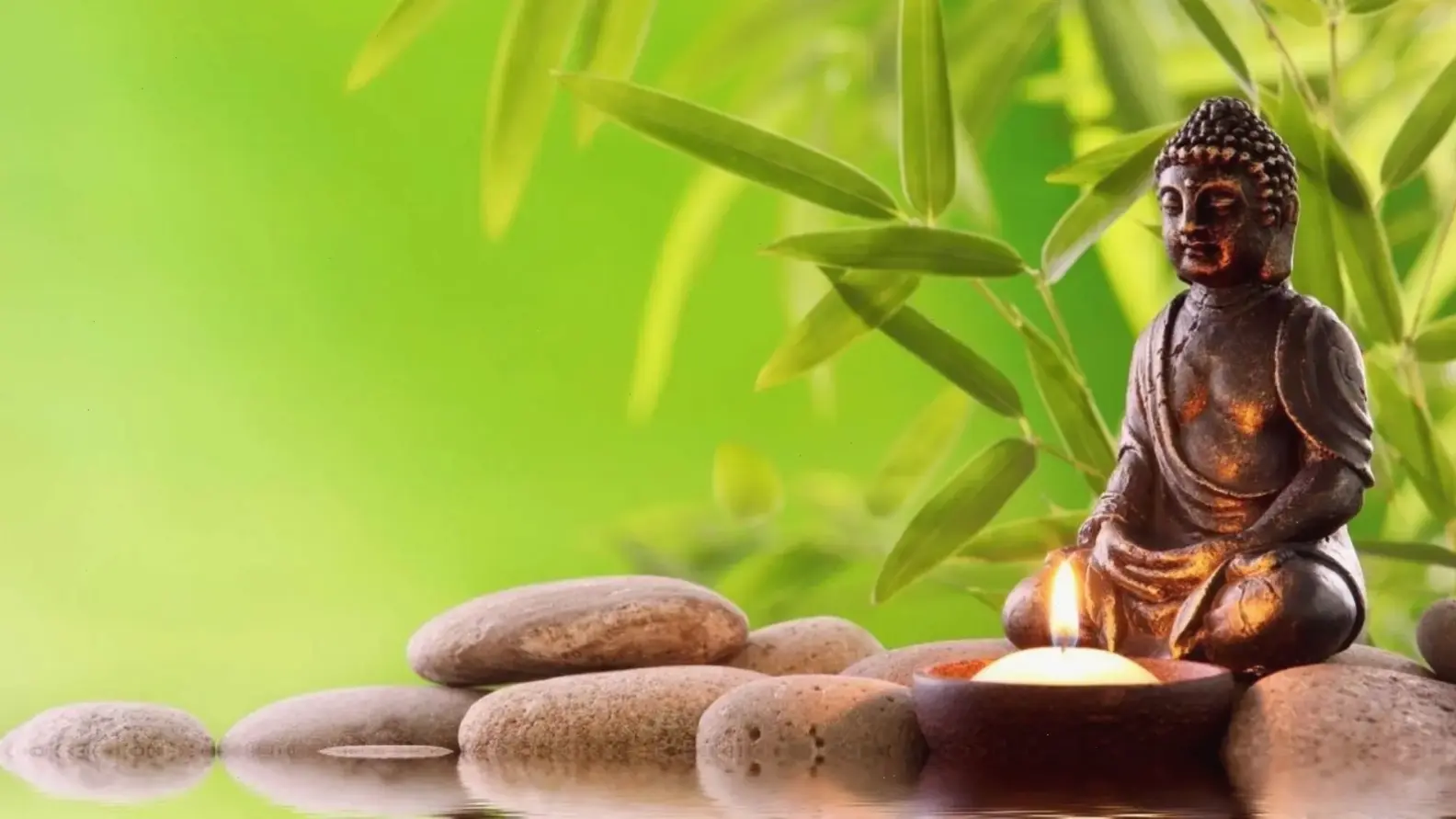 Khám phá thiền Phật giáo tâm linh, kết nối sâu với vũ trụ và bản thể chân thực.