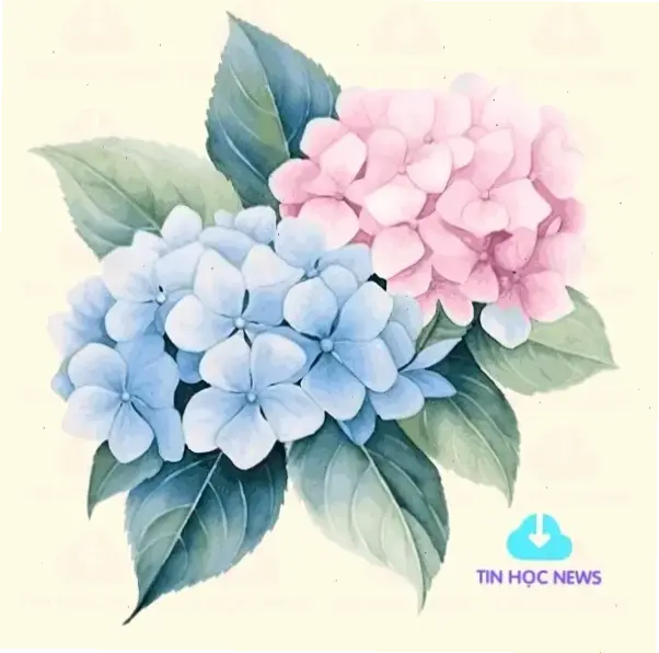 Khám phá vẻ đẹp hoa cẩm tú cầu xanh rực rỡ, lý tưởng cho ngày cưới thêm tươi mới và lãng mạn, mang đến không gian tự nhiên đầy cuốn hút.