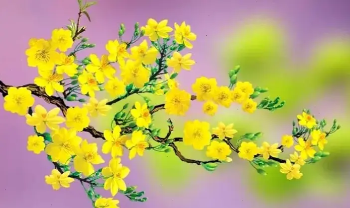 Khám phá vẻ đẹp rực rỡ của hoa mai vàng, lý tưởng để trang trí nhà cửa, mang không khí xuân ấm áp và tươi mới.