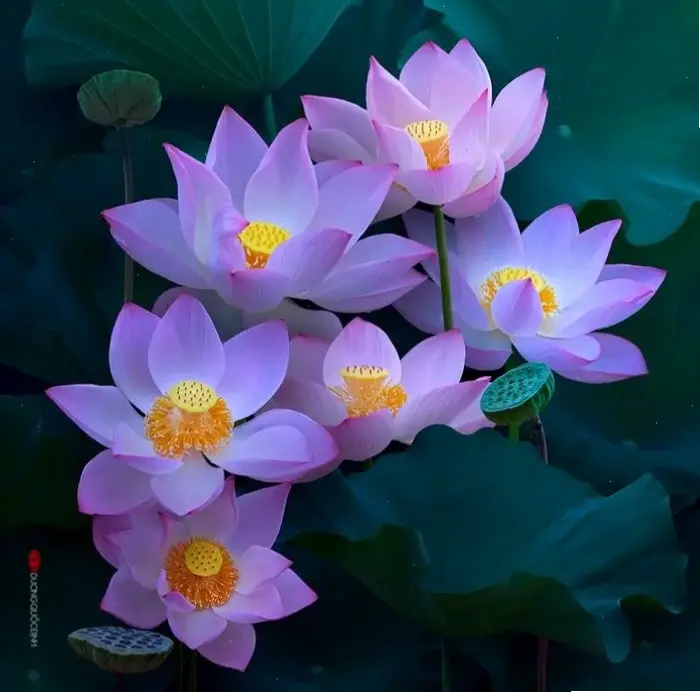 Khám phá vẻ đẹp thanh tịnh của hoa sen trong chùa Việt Nam, biểu tượng sự giác ngộ và yên bình sâu lắng.