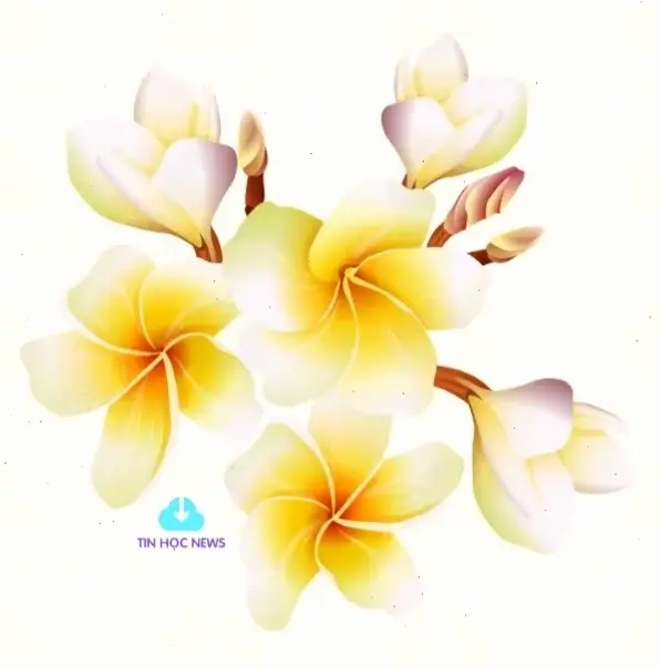 Khám phá vẻ đẹp tinh khôi của hoa sứ trắng, biểu tượng sự trong sạch và thanh lịch trong vườn nhiệt đới.