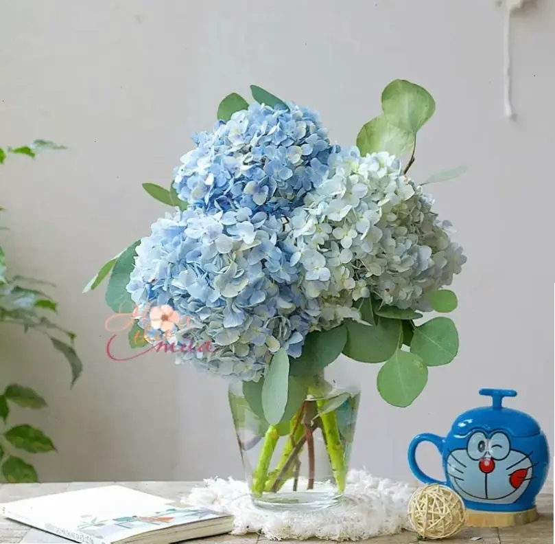 Khám phá vẻ đẹp tươi mát của hoa cẩm tú cầu xanh cắm bình, mang không khí thiên nhiên vào không gian sống của bạn.