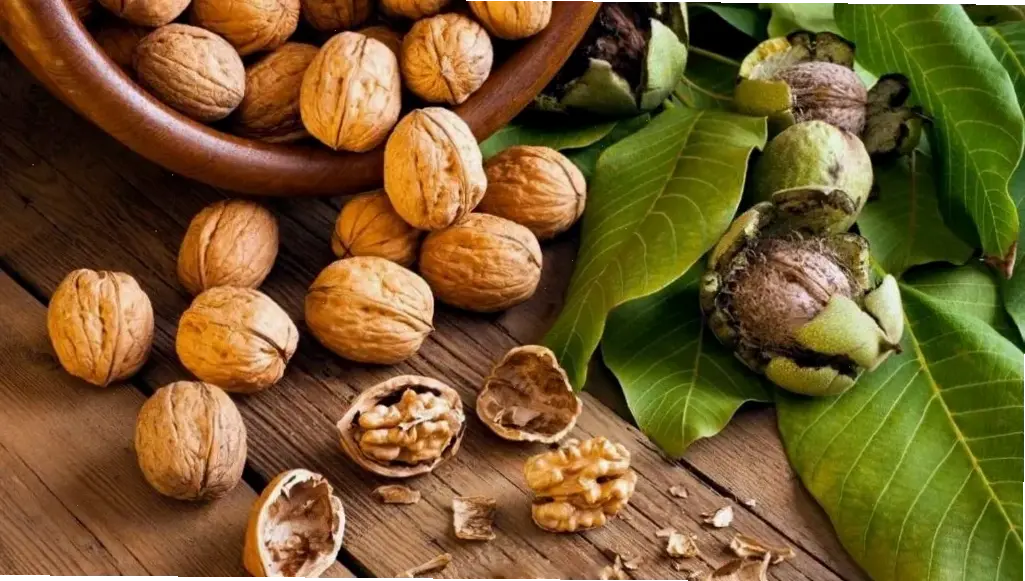 Kinh nghiệm cá nhân