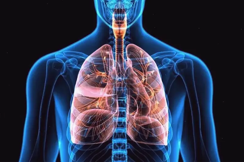 Kinh nghiệm thực tế