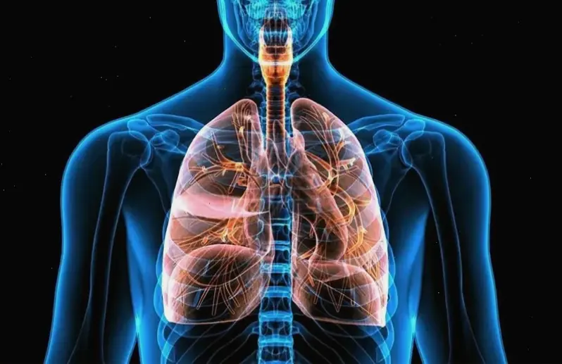 Kinh nghiệm thực tế