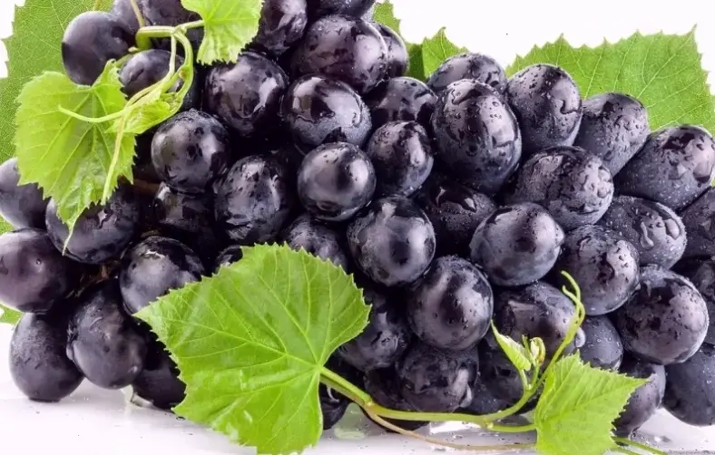 Kinh nghiệm thực tế