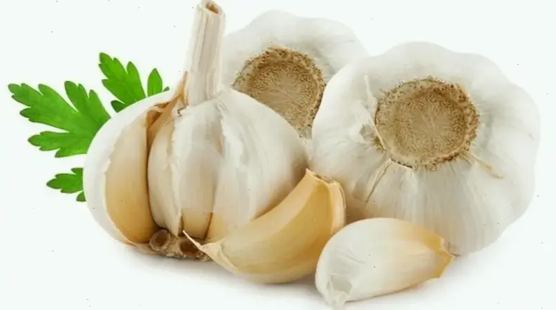 Kinh nghiệm thực tế