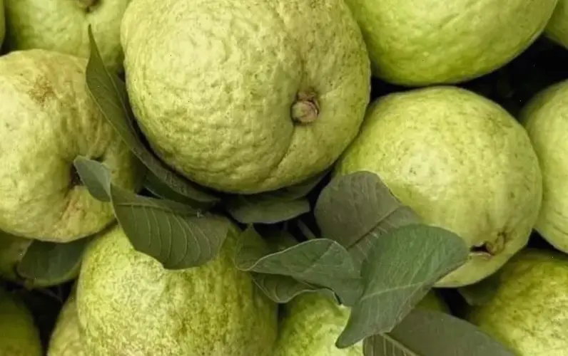 Kinh nghiệm thực tế