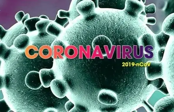 Kinh nghiệm thực tế từ người chăm sóc