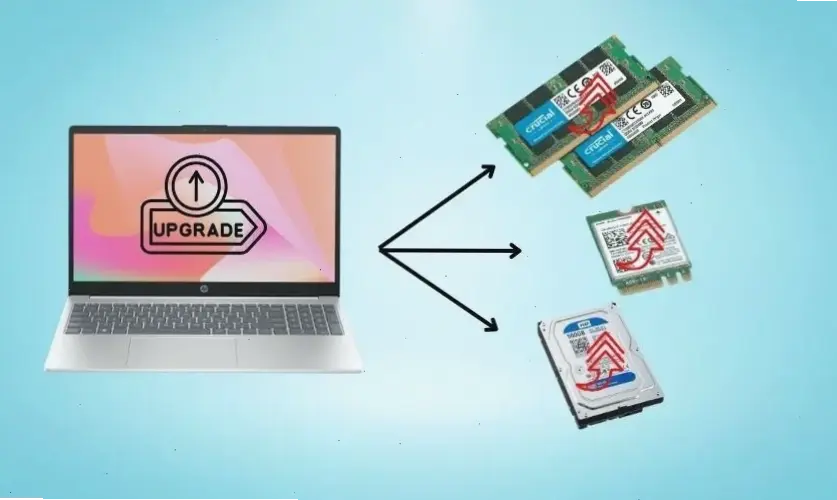 Kinh nghiệm thực tế từ người dùng