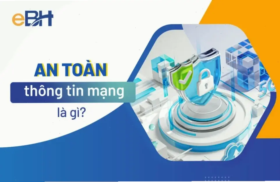 Kinh nghiệm thực tế từ người dùng