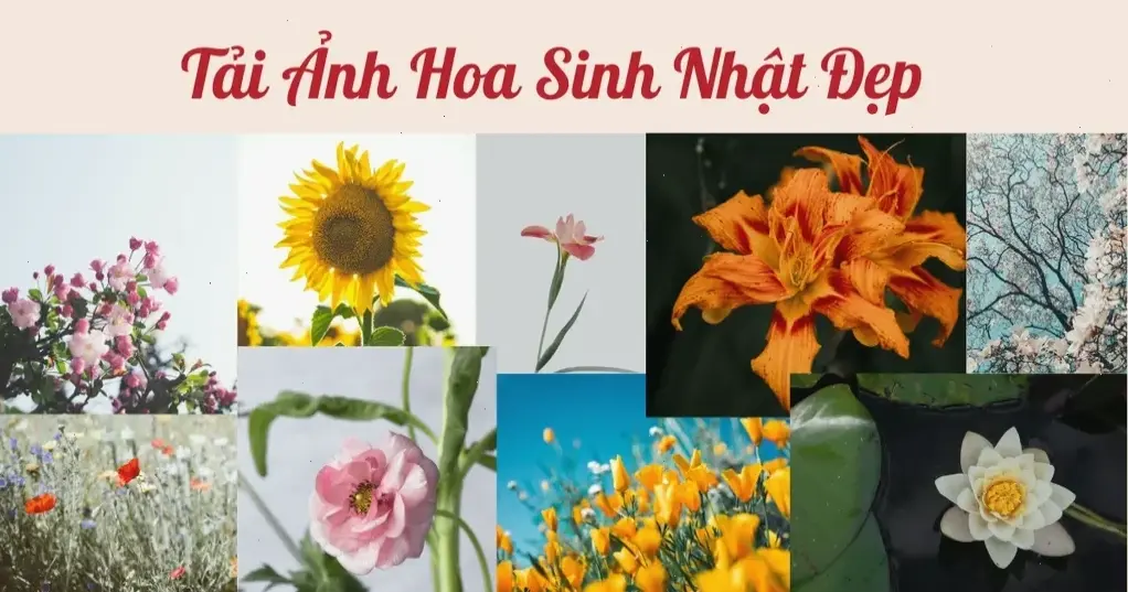 Kỷ niệm sinh nhật bằng hoa lay ơn tươi thắm, mang lời chúc hạnh phúc và yêu thương chân thành.