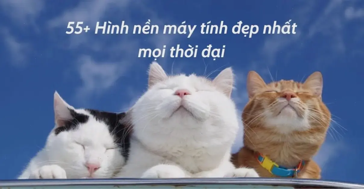 Làm đẹp bàn phím điện thoại của bạn với hình nền bàn phím điện thoại đẹp, tăng tính thẩm mỹ và sự tiện lợi hàng ngày.