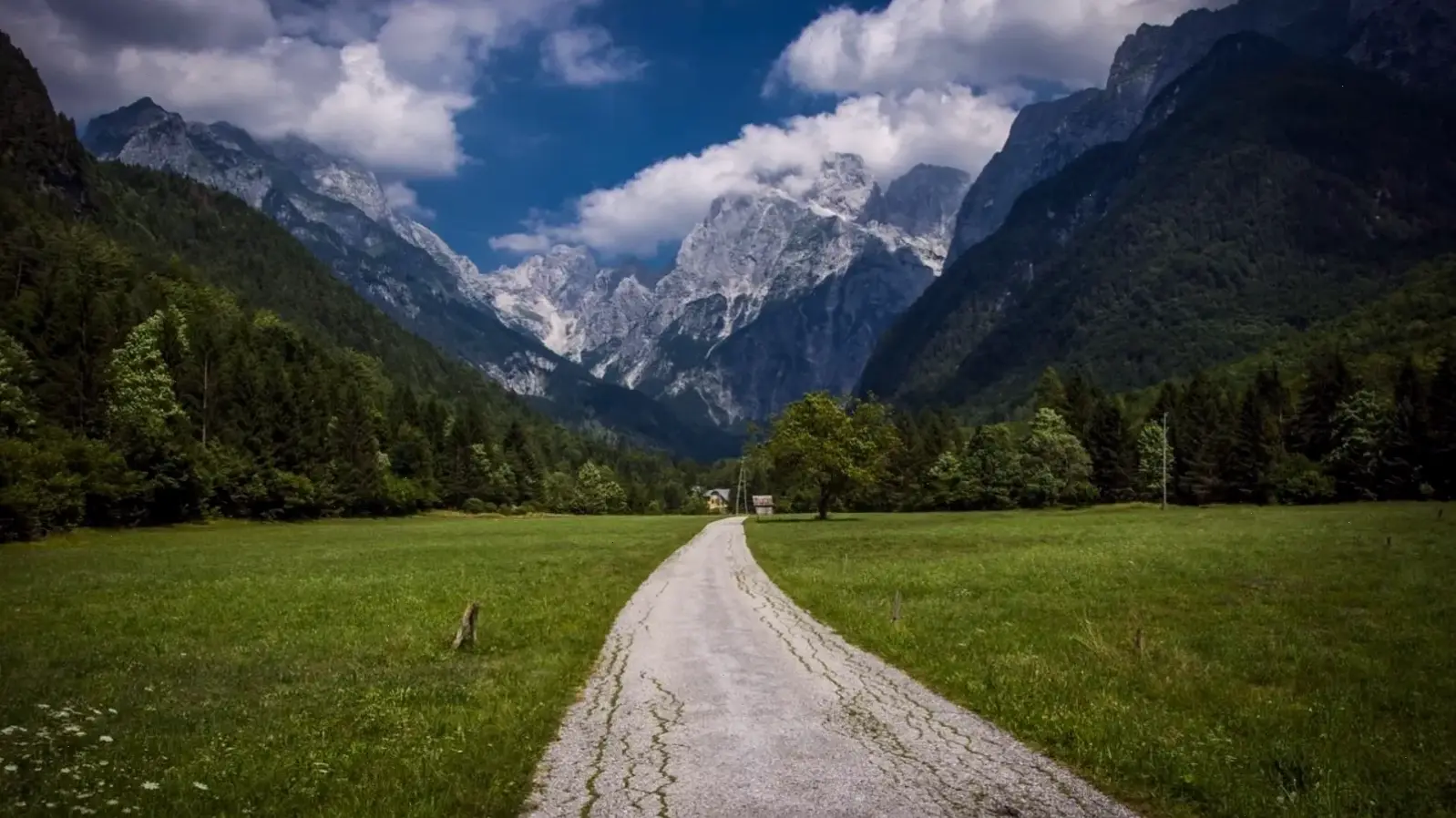 Làm mới bàn làm việc với hình nền sống động, tăng cường năng suất và sự tập trung hàng ngày.
