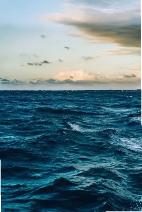 Lặn vào thế giới biển sâu kỳ bí với hình nền 4K, nơi ánh sáng mờ ảo và sinh vật lạ lùng chờ đợi.