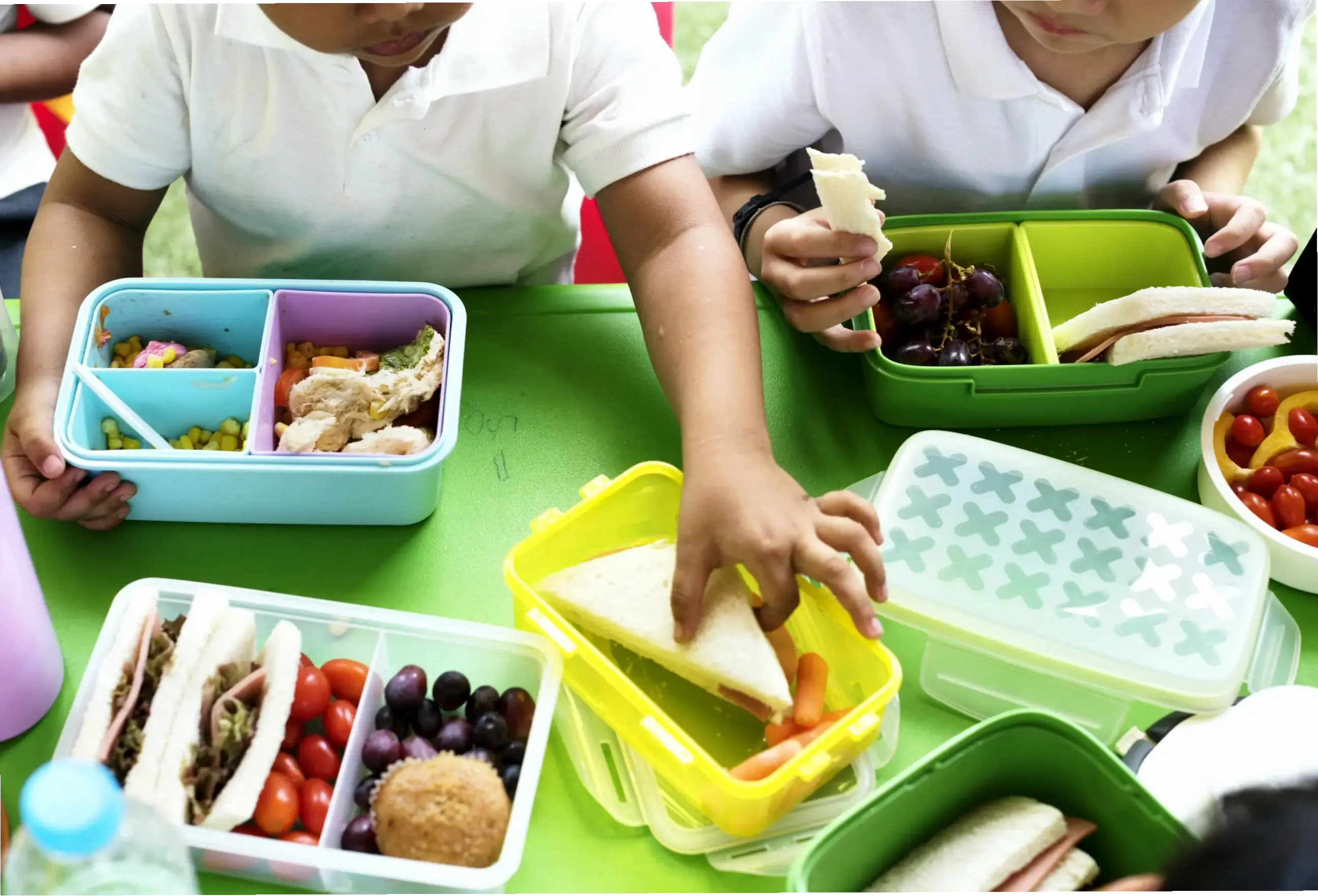 Lợi ích của thực phẩm dinh dưỡng