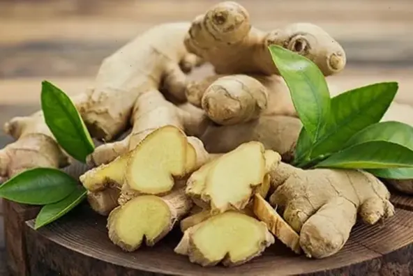 Lợi ích của thực phẩm tốt cho phổi