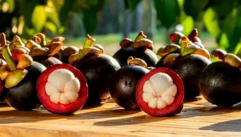 Lời khuyên chung và nguồn tham khảo