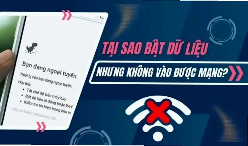 Lý do phổ biến khiến bạn không vào được mạng