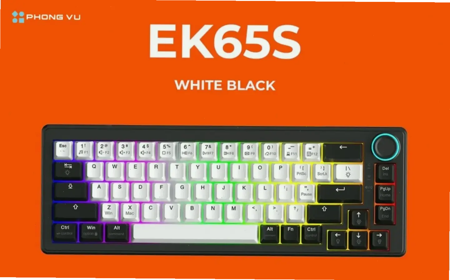 Lý do và kinh nghiệm thực tế