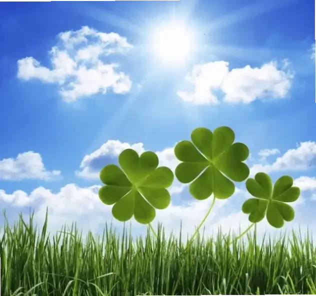 Mang đồng cỏ bao la vào màn hình với hình nền đồng cỏ, tạo cảm giác tự do và thư thái.