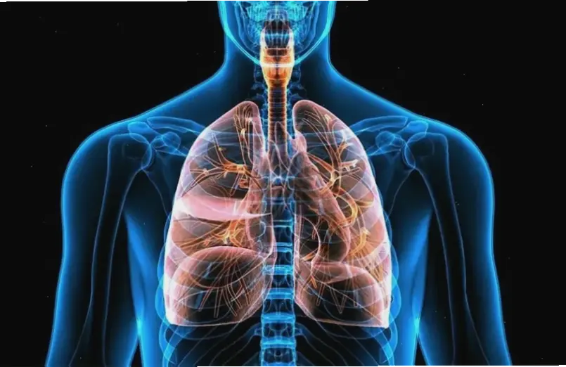 Mẹo thực tế và kinh nghiệm