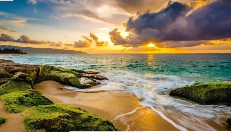 Ngắm nhìn sóng biển nhiệt đới cuồn cuộn, cảm nhận sự mạnh mẽ và huyền bí của đại dương.