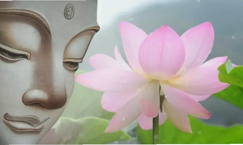 Nghệ thuật Phật A Di Đà đầy sáng tạo, kết hợp vẻ đẹp cổ điển và hiện đại, truyền cảm hứng cho hành trình tâm linh.