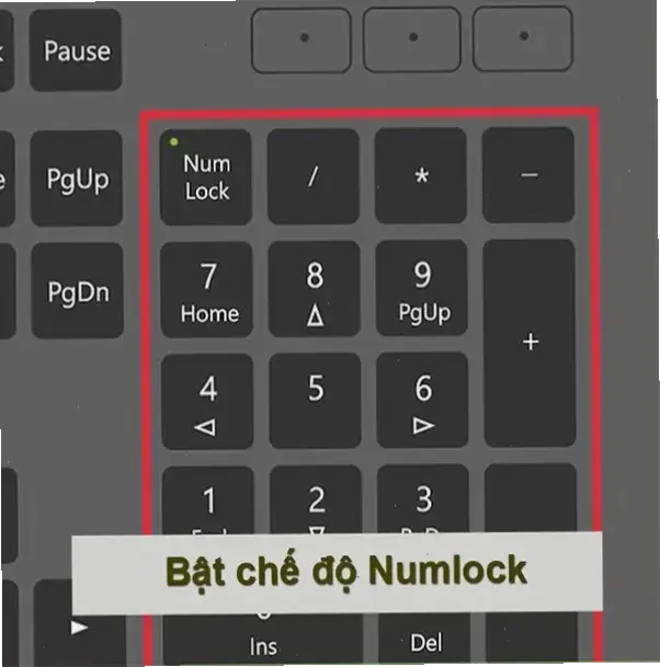 Nguyên nhân chính khiến không gõ được số trên laptop