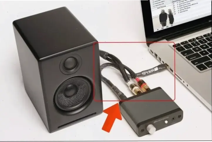 Nguyên nhân chính