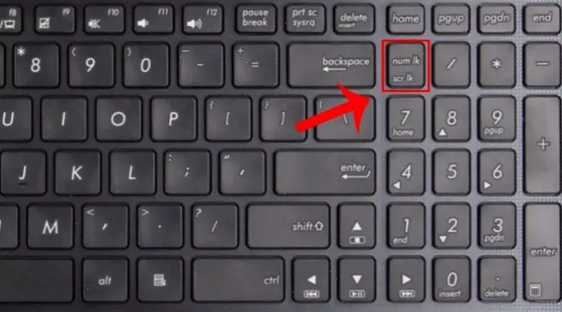 Nguyên nhân chính