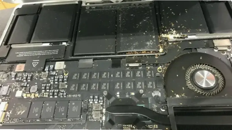 Nguyên nhân chính