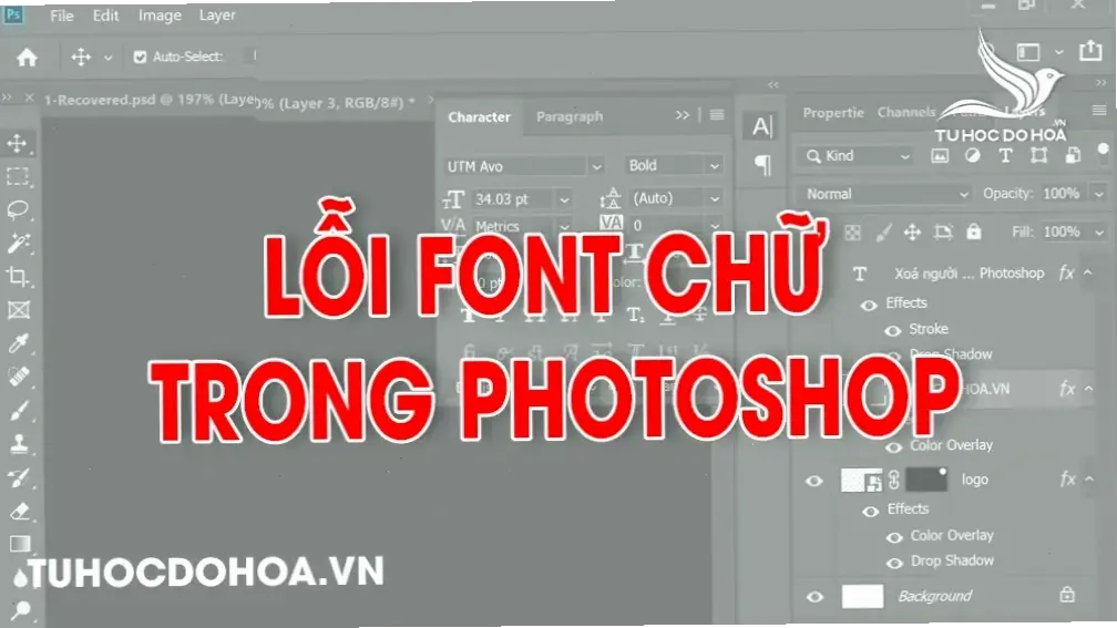 Nguyên nhân phổ biến của lỗi font chữ